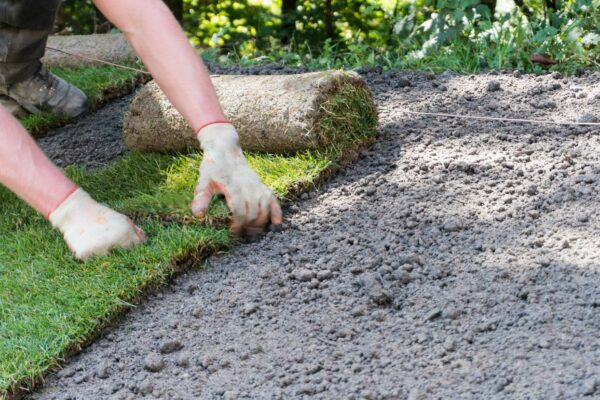 martinazzo-espaces-verts-14 martinazzo-espaces-verts-14