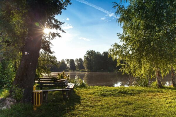 martinazzo-espaces-verts-4 martinazzo-espaces-verts-4