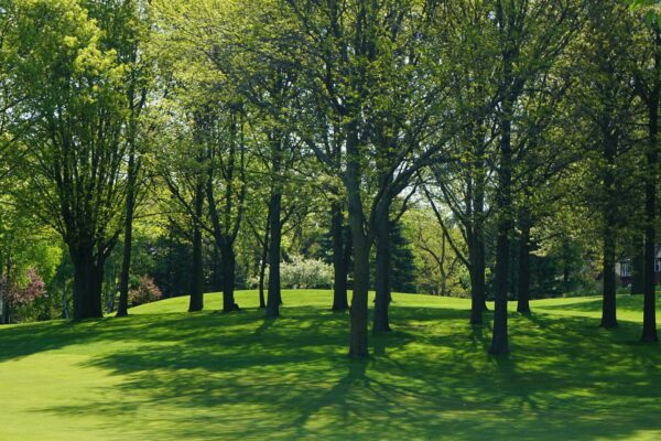 martinazzo-espaces-verts-8 martinazzo-espaces-verts-8